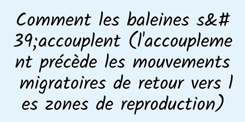 Comment les baleines s'accouplent (l'accouplement précède les mouvements migratoires de retour vers les zones de reproduction)