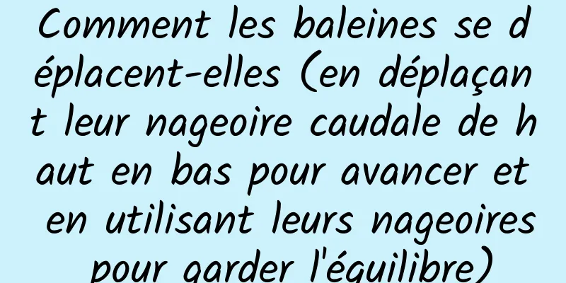 Comment les baleines se déplacent-elles (en déplaçant leur nageoire caudale de haut en bas pour avancer et en utilisant leurs nageoires pour garder l'équilibre)