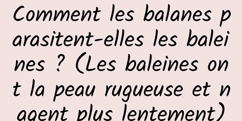 Comment les balanes parasitent-elles les baleines ? (Les baleines ont la peau rugueuse et nagent plus lentement)