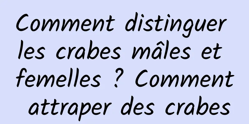 Comment distinguer les crabes mâles et femelles ? Comment attraper des crabes