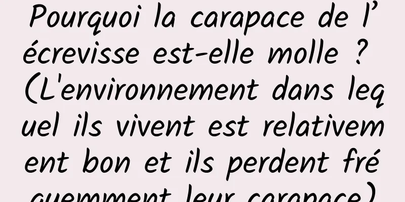 Pourquoi la carapace de l’écrevisse est-elle molle ? (L'environnement dans lequel ils vivent est relativement bon et ils perdent fréquemment leur carapace)