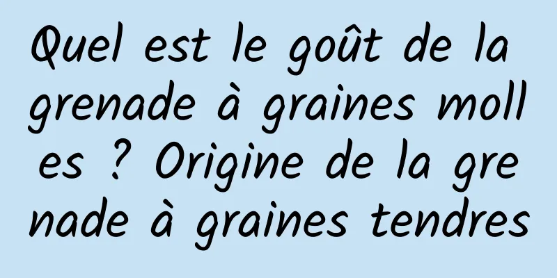 Quel est le goût de la grenade à graines molles ? Origine de la grenade à graines tendres