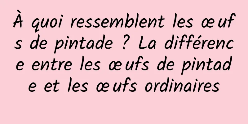 À quoi ressemblent les œufs de pintade ? La différence entre les œufs de pintade et les œufs ordinaires
