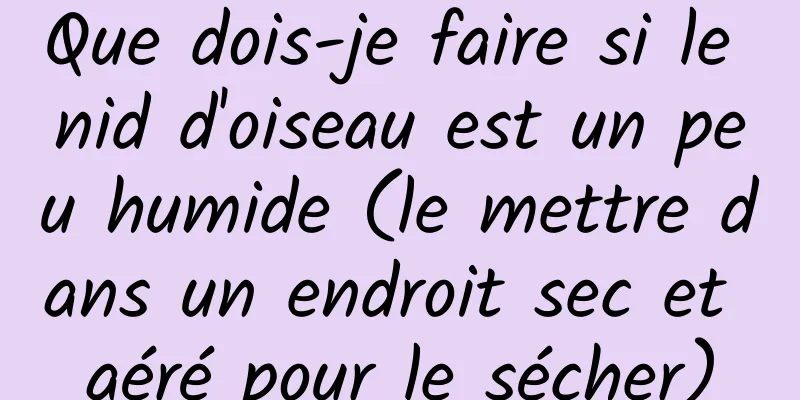Que dois-je faire si le nid d'oiseau est un peu humide (le mettre dans un endroit sec et aéré pour le sécher)