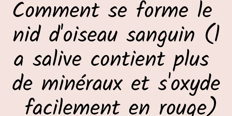 Comment se forme le nid d'oiseau sanguin (la salive contient plus de minéraux et s'oxyde facilement en rouge)