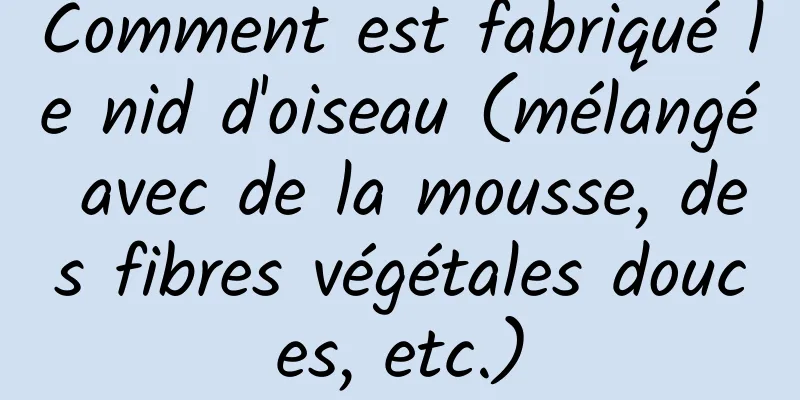 Comment est fabriqué le nid d'oiseau (mélangé avec de la mousse, des fibres végétales douces, etc.)