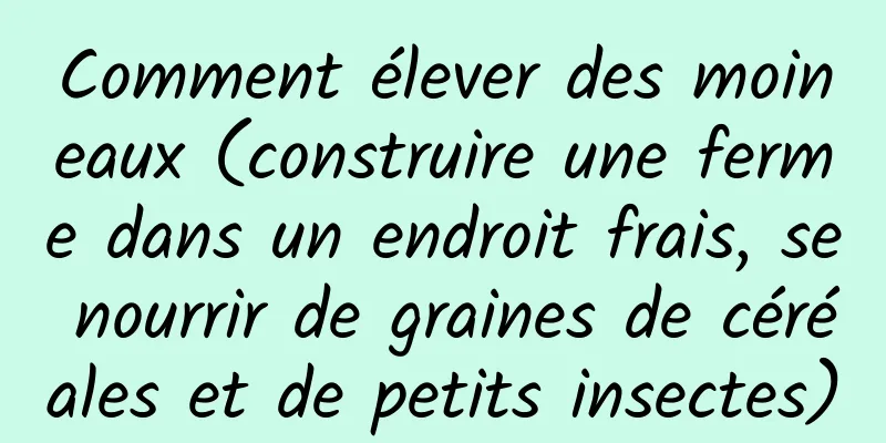Comment élever des moineaux (construire une ferme dans un endroit frais, se nourrir de graines de céréales et de petits insectes)