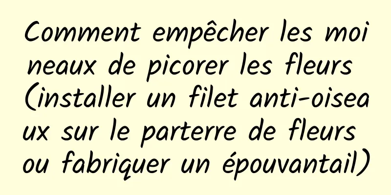 Comment empêcher les moineaux de picorer les fleurs (installer un filet anti-oiseaux sur le parterre de fleurs ou fabriquer un épouvantail)