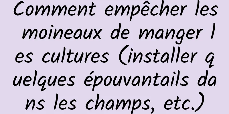 Comment empêcher les moineaux de manger les cultures (installer quelques épouvantails dans les champs, etc.)