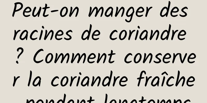 Peut-on manger des racines de coriandre ? Comment conserver la coriandre fraîche pendant longtemps