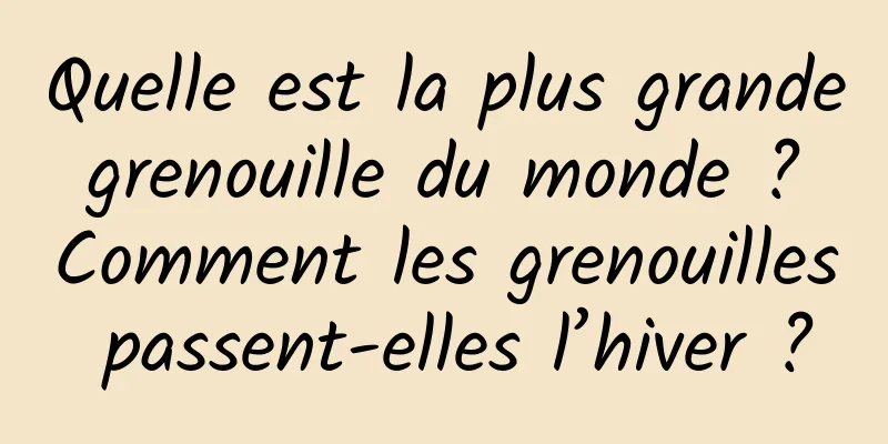 Quelle est la plus grande grenouille du monde ? Comment les grenouilles passent-elles l’hiver ?