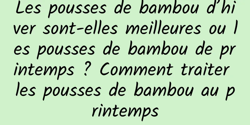 Les pousses de bambou d’hiver sont-elles meilleures ou les pousses de bambou de printemps ? Comment traiter les pousses de bambou au printemps
