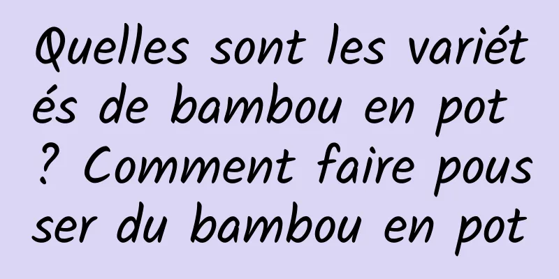 Quelles sont les variétés de bambou en pot ? Comment faire pousser du bambou en pot
