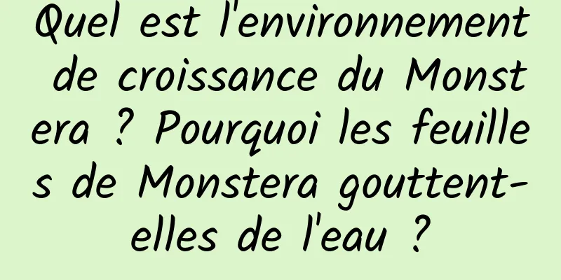 Quel est l'environnement de croissance du Monstera ? Pourquoi les feuilles de Monstera gouttent-elles de l'eau ?