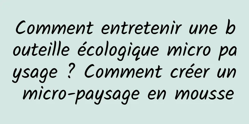 Comment entretenir une bouteille écologique micro paysage ? Comment créer un micro-paysage en mousse