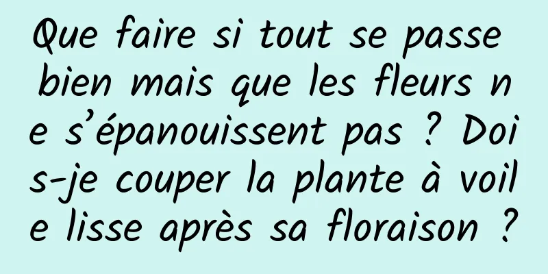 Que faire si tout se passe bien mais que les fleurs ne s’épanouissent pas ? Dois-je couper la plante à voile lisse après sa floraison ?