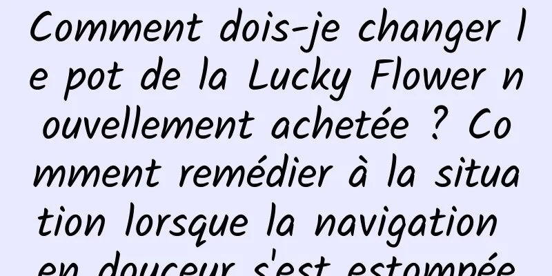 Comment dois-je changer le pot de la Lucky Flower nouvellement achetée ? Comment remédier à la situation lorsque la navigation en douceur s'est estompée