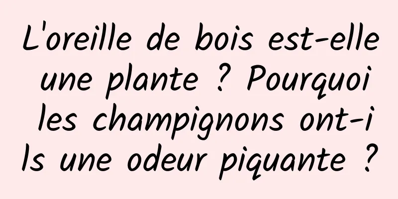 L'oreille de bois est-elle une plante ? Pourquoi les champignons ont-ils une odeur piquante ?