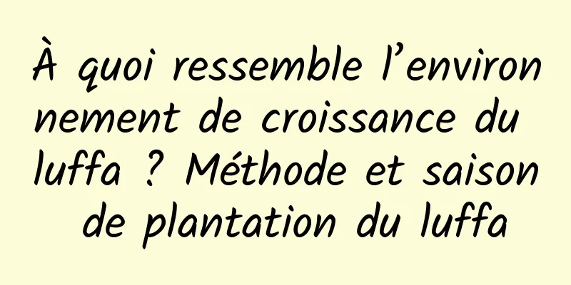 À quoi ressemble l’environnement de croissance du luffa ? Méthode et saison de plantation du luffa