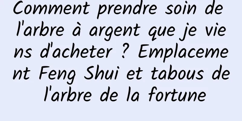 Comment prendre soin de l'arbre à argent que je viens d'acheter ? Emplacement Feng Shui et tabous de l'arbre de la fortune