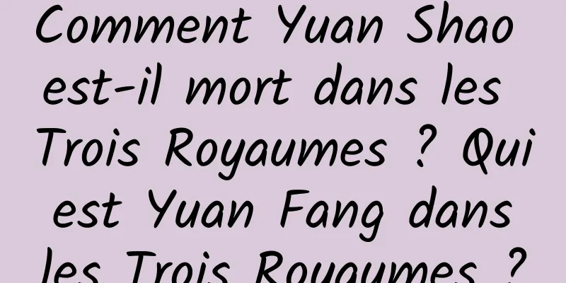 Comment Yuan Shao est-il mort dans les Trois Royaumes ? Qui est Yuan Fang dans les Trois Royaumes ?