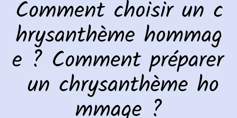 Comment choisir un chrysanthème hommage ? Comment préparer un chrysanthème hommage ?