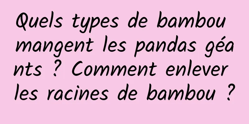 Quels types de bambou mangent les pandas géants ? Comment enlever les racines de bambou ?