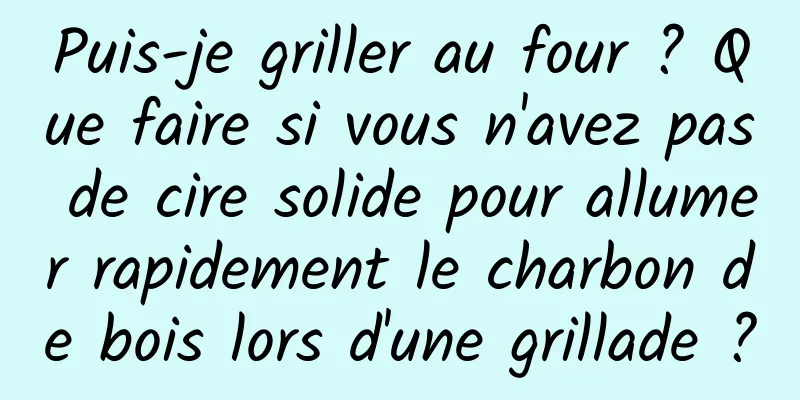 Puis-je griller au four ? Que faire si vous n'avez pas de cire solide pour allumer rapidement le charbon de bois lors d'une grillade ?