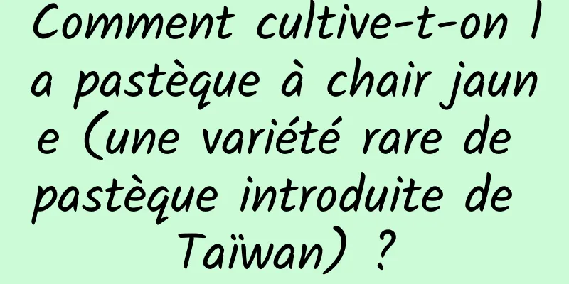 Comment cultive-t-on la pastèque à chair jaune (une variété rare de pastèque introduite de Taïwan) ?