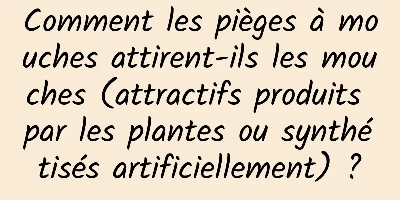 Comment les pièges à mouches attirent-ils les mouches (attractifs produits par les plantes ou synthétisés artificiellement) ?