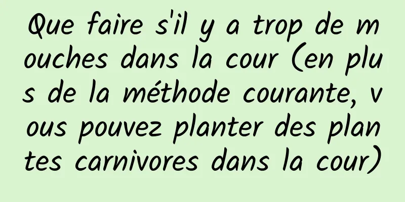 Que faire s'il y a trop de mouches dans la cour (en plus de la méthode courante, vous pouvez planter des plantes carnivores dans la cour)
