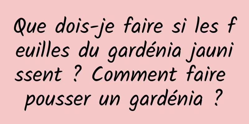 Que dois-je faire si les feuilles du gardénia jaunissent ? Comment faire pousser un gardénia ?