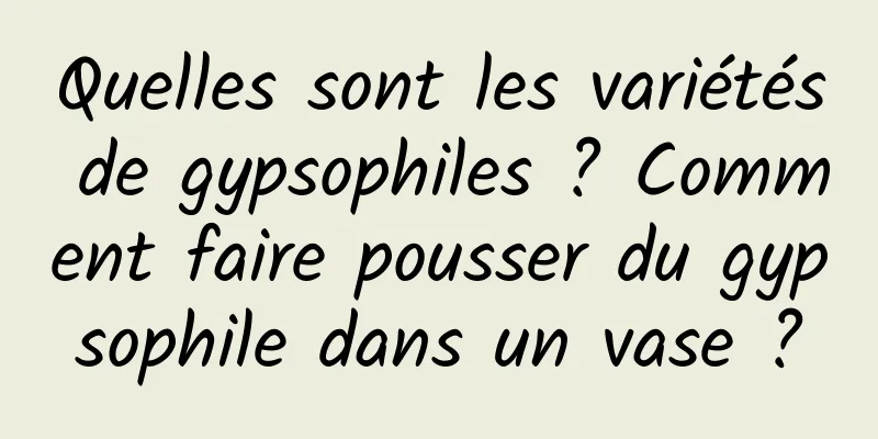 Quelles sont les variétés de gypsophiles ? Comment faire pousser du gypsophile dans un vase ?