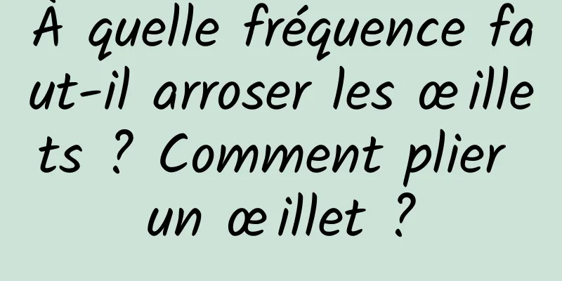 À quelle fréquence faut-il arroser les œillets ? Comment plier un œillet ?