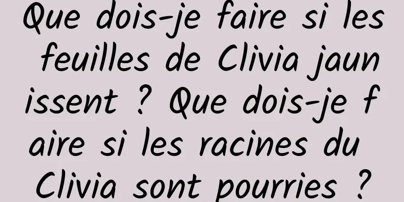 Que dois-je faire si les feuilles de Clivia jaunissent ? Que dois-je faire si les racines du Clivia sont pourries ?