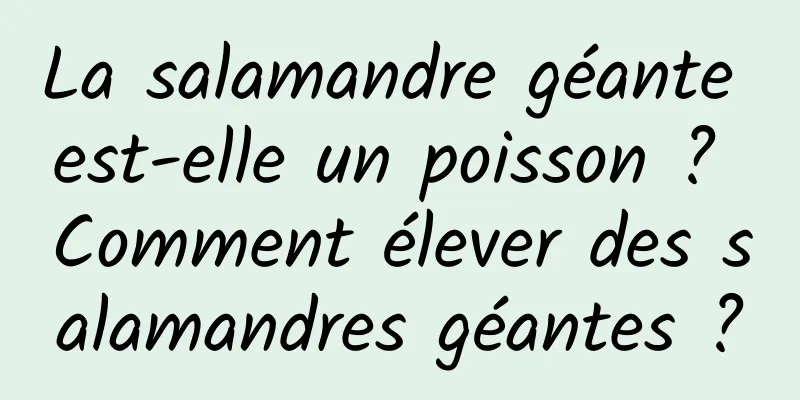 La salamandre géante est-elle un poisson ? Comment élever des salamandres géantes ?