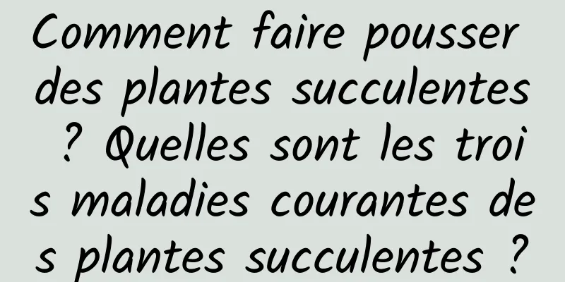 Comment faire pousser des plantes succulentes ? Quelles sont les trois maladies courantes des plantes succulentes ?