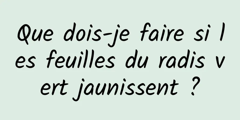 Que dois-je faire si les feuilles du radis vert jaunissent ?
