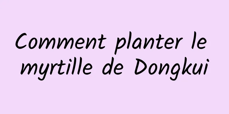 Comment planter le myrtille de Dongkui