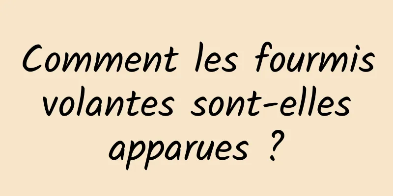 Comment les fourmis volantes sont-elles apparues ?