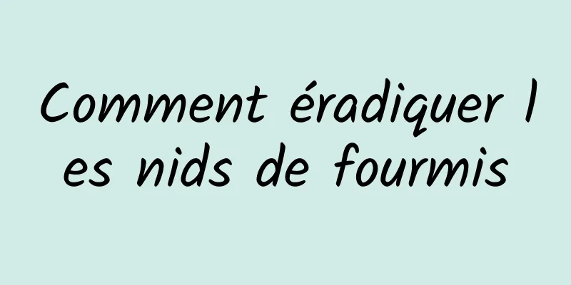 Comment éradiquer les nids de fourmis