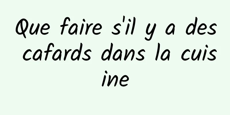 Que faire s'il y a des cafards dans la cuisine