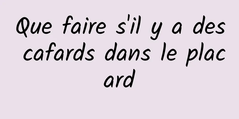 Que faire s'il y a des cafards dans le placard