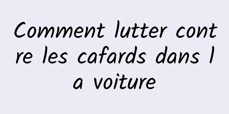Comment lutter contre les cafards dans la voiture