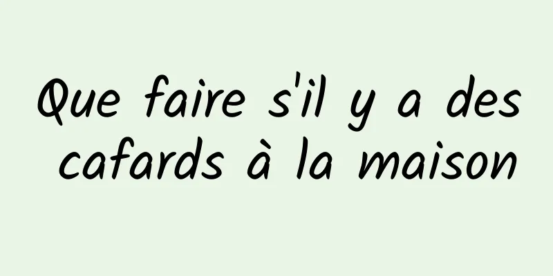Que faire s'il y a des cafards à la maison