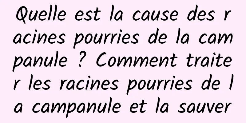 Quelle est la cause des racines pourries de la campanule ? Comment traiter les racines pourries de la campanule et la sauver