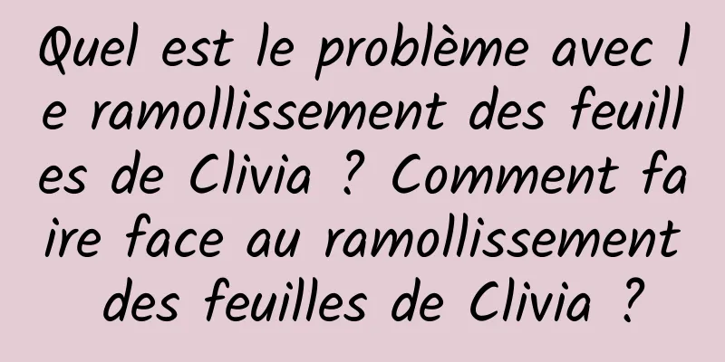 Quel est le problème avec le ramollissement des feuilles de Clivia ? Comment faire face au ramollissement des feuilles de Clivia ?