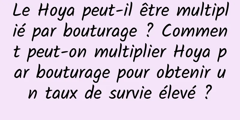 Le Hoya peut-il être multiplié par bouturage ? Comment peut-on multiplier Hoya par bouturage pour obtenir un taux de survie élevé ?