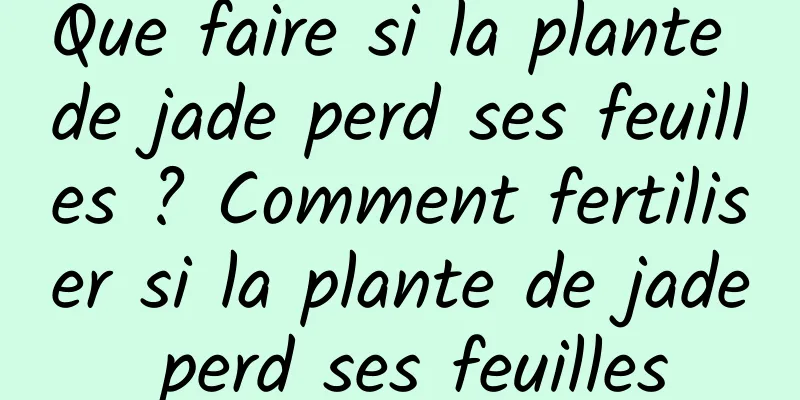 Que faire si la plante de jade perd ses feuilles ? Comment fertiliser si la plante de jade perd ses feuilles