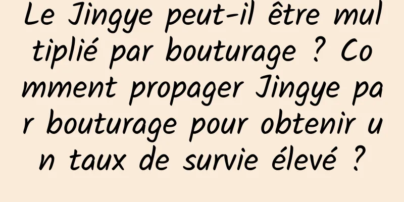 Le Jingye peut-il être multiplié par bouturage ? Comment propager Jingye par bouturage pour obtenir un taux de survie élevé ?